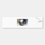 Sarychev Peak Bumper Sticker