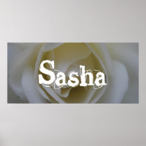 Sasha Posters