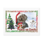 Sasha Sydney Silky Dog Mouse Holiday Gifts Post Cards