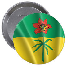 SASKATCHEWAN PIN