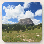 Sassolungo mount coasters