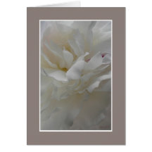 Satin Edged Peony greeting card