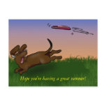 saucer dog