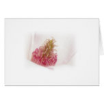 Saucer Magnolia Greeting Card