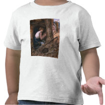 Saul Hiding among the Stuff, 1866 Shirt