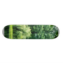 Saule pleurant dans la brume planches à roulettes customisées