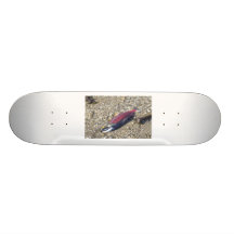 Saumon DC@ Skateboard Customisable