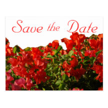 Sauvez la bouganvillée de date florale carte postale