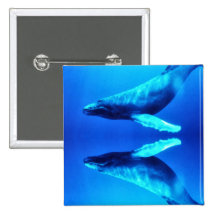 Sauvez les baleines badges avec agrafe
