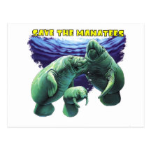Sauvez les lamantins cartes postales