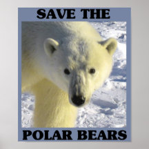 Sauvez les ours blancs posters