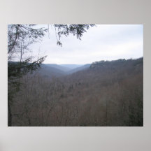 Savage Gulf Picture Posters