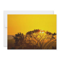 Savanna Sunset Personalized Announcement