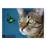 Savannah Cat butterfly Card