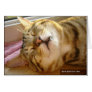 Savannah Cat deep-sleep Card