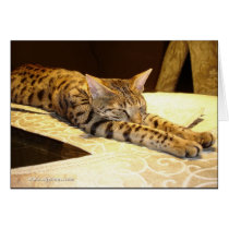 Savannah cat sleepy Card