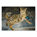 Savannah Cat surprise Card