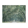 Savannah, GA Postcard