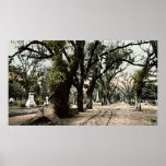 Savannah, Georgia Bonaventure Cemetery Poster