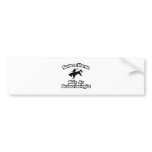 Save a Horse, Ride an Endocrinologist bumper stickers