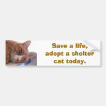 Save a life bumper stickers
