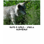 Save A Wolf -  Hide a Shotgun! t-shirts