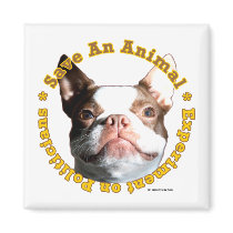 Save An Animal-Dog Magnet