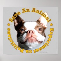 Save An Animal-Dog Poster