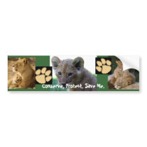 Save Me - Lion Cub Bumper Sticker