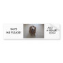 SAVE ME PLEASE - ADOPT A RESCUE DOG! BUMPER STICKER