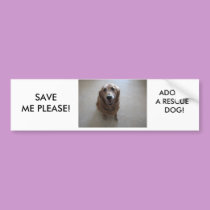 SAVE ME PLEASE - ADOPT A RESCUE DOG! bumper stickers