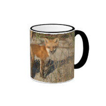 "Save Our Planet" fox mug