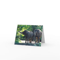 Save Our Planet notecard featuring elephants