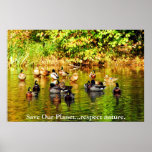 "Save Our Planet...respect nature." Poster