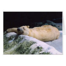 Save Our Planet series Polar Bear note card