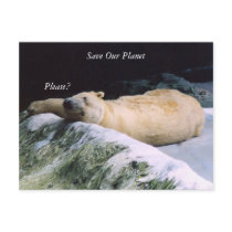 Save Our Planet series Polar Bear post card
