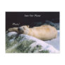 Save Our Planet series Polar Bear post card