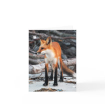 Save Our Planet series Red Fox note/greeting card