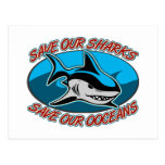 Save Our Sharks Post Cards