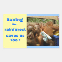 Save Rainforest and Cute Baby Orangutans Rectangular Stickers