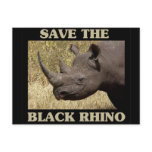 Save the Black Rhino Postcards