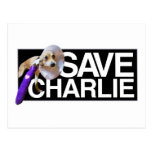 Save the Charles! Post Cards