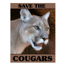Save the Cougar Post Card