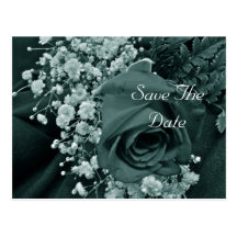 Save the Date Baby's Breath & Rose - Teal Post Cards