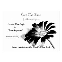 Save The Date Black Daisy Business Card