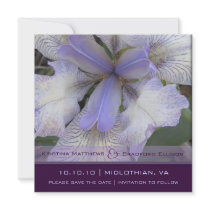 Save the Date Blue Iris 5x5 Personalized Announcements