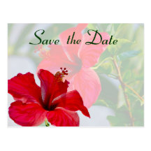 Save the Date Bridal Red Hibiscus Post Cards