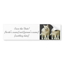 Save the Date! Bumper Sticker