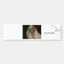 Save the Date Bumper Sticker