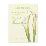 Save the Date, calla lily postcards